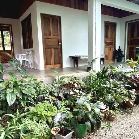 Casa Briza Casa de hóspedes Nicoya Exterior foto