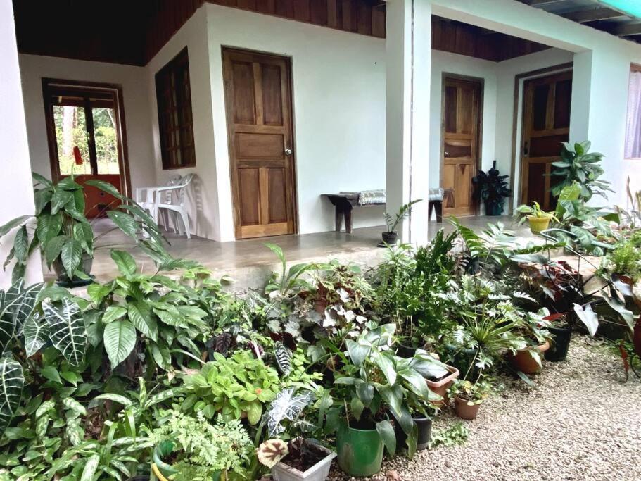 Casa Briza Casa de hóspedes Nicoya Exterior foto