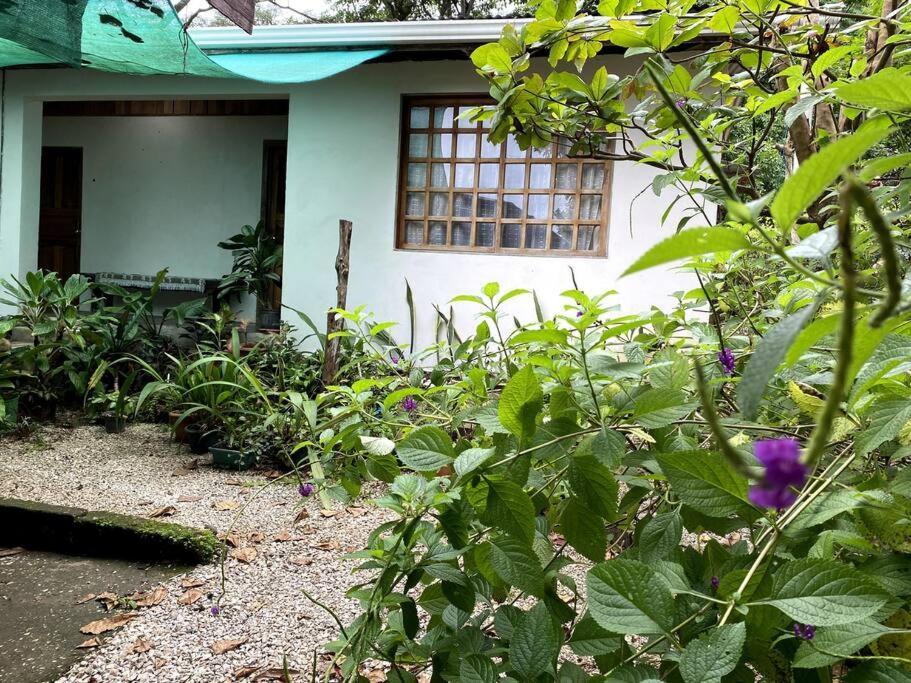 Casa Briza Casa de hóspedes Nicoya Exterior foto